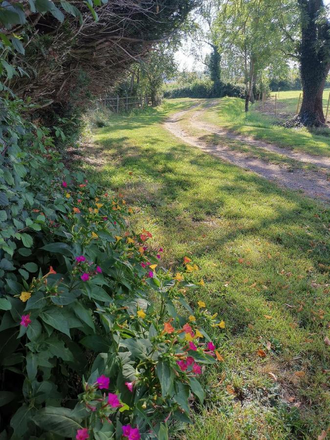 Domaine Des Formes Effiat Exterior foto